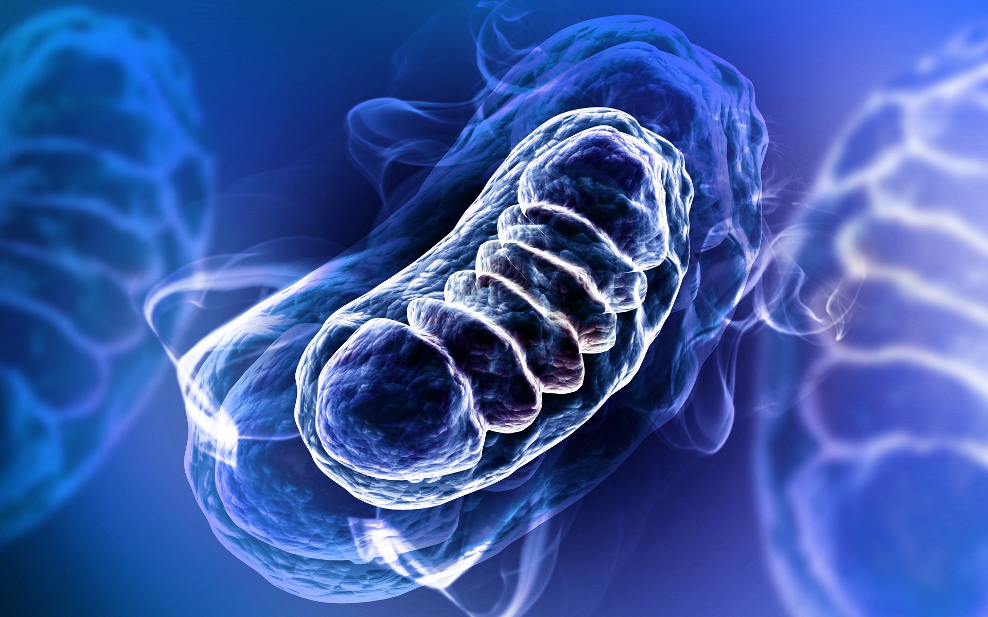 Mutação do DNA mitocondrial doença mitocondrial mDNA alteração no movimento diabetes insuficiência renal involução neuropsicomotora convulsão epilepsia